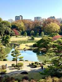 江戸期を代表する大名庭園 雪吊りと紅葉のリフレは絶景!