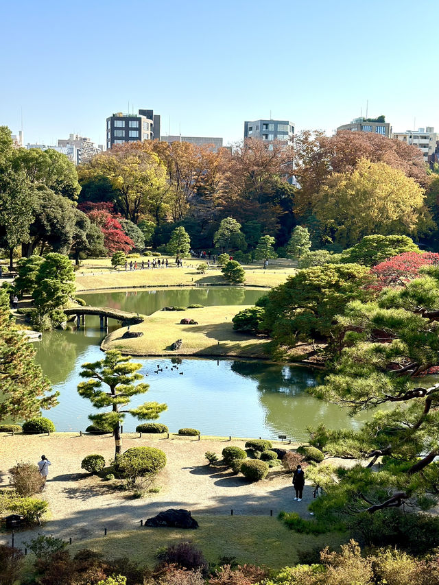江戸期を代表する大名庭園 雪吊りと紅葉のリフレは絶景! 江戸期を代表する大名庭園 雪吊りと紅葉のリフレは絶景!