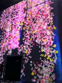 🌌 Step Into the Infinite – The Magic of teamLab Borderless, Tokyo