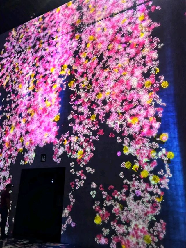🌌 Step Into the Infinite – The Magic of teamLab Borderless, Tokyo