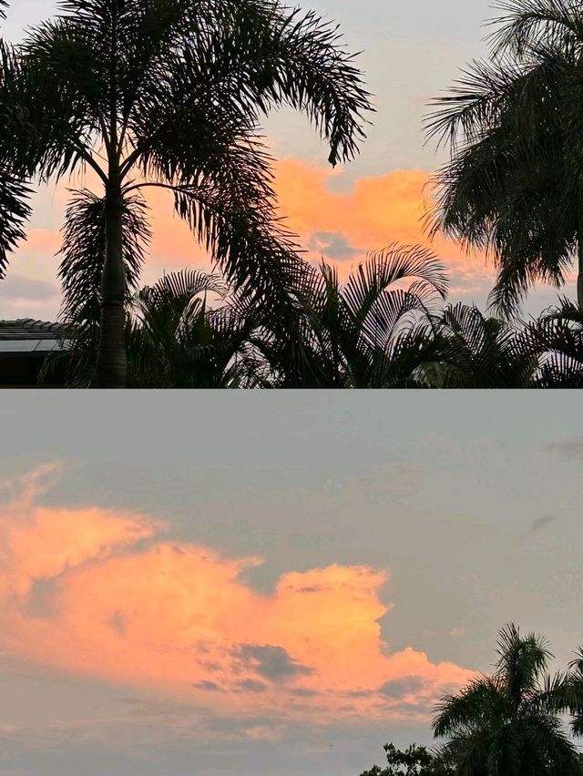 Sunset Pool Vibes🌅 Sunset Pool Vibes🌅