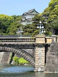 🎌🏯⛩️🎏 พระราชวังอิมพีเรียล (Imperial Palace)