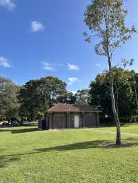 ☀️Yeo Park：Canterbury 社區裡的綠色小樂園 🌳