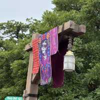 【千葉/舞浜🇯🇵】まるでメキシコ🇲🇽東京ディズニーシー