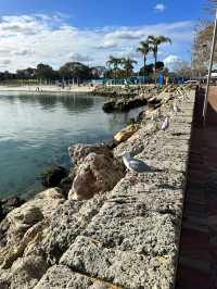 Seaside Charm : Hillary's Boat Harbour in Perth