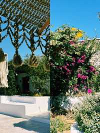 파도와 햇살이 어우러진 밀로스의 하루