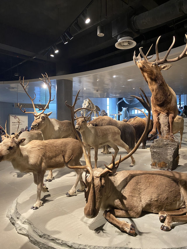 Natural History Museum ตื่นตาตื่นใจกับโลกดึกดำบรรพ์