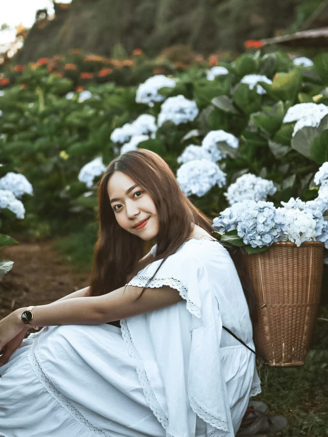 💐 บ้านขุนแปะ – หมู่บ้านกลางขุนเขา ที่มีหมอก ดอกไม้