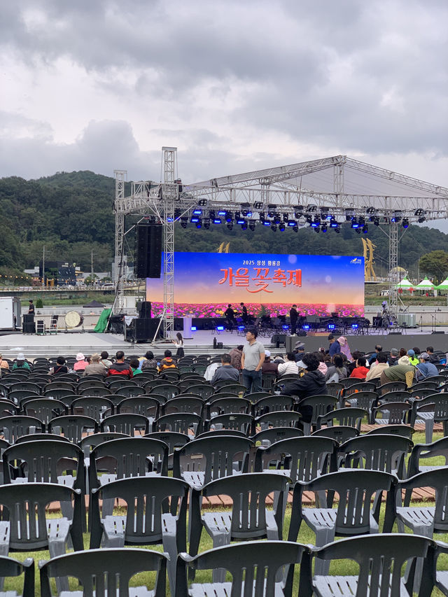 가을꽃을 즐길 수 있는 장성 데이트코스