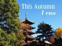 🍁ชมฤดูใบไม้เปลี่ยนสีที่อุเอโนะ (Ueno Park)