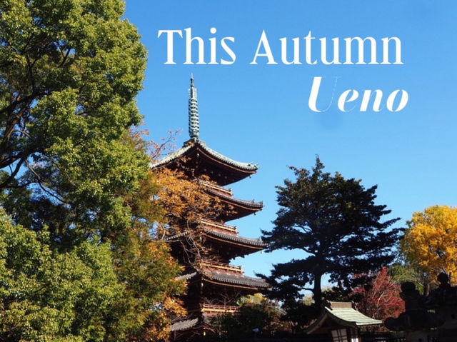 🍁ชมฤดูใบไม้เปลี่ยนสีที่อุเอโนะ (Ueno Park)