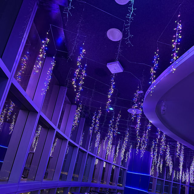 Sky High Dining🍽️ Sky High Dining🍽️