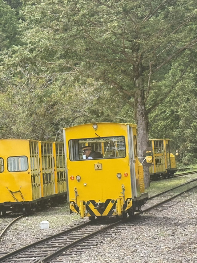 太平山蹦蹦車與古道探秘 太平山蹦蹦車與古道探秘