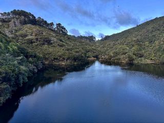 Zealandia Te Mara a Tane A Hidden Haven for Wildlife and Wonder