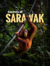 Kuching Day Trip Itinerary