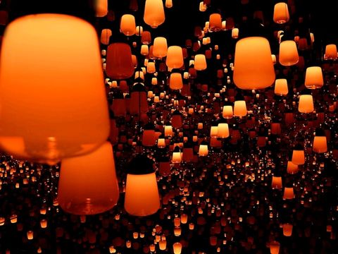 เที่ยวโตเกียว 1 วัน… กระเป๋ายังรอดอยู่ไหม!? เที่ยวโตเกียว 1 วัน… กระเป๋ายังรอดอยู่ไหม!?