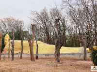 วัดพระธาตุหนองสามหมื่น