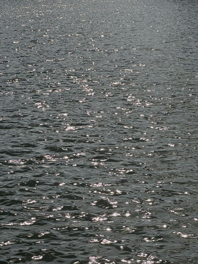 Lake Serenity Views🌥️