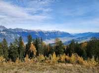 Mountain Magic Alps✨