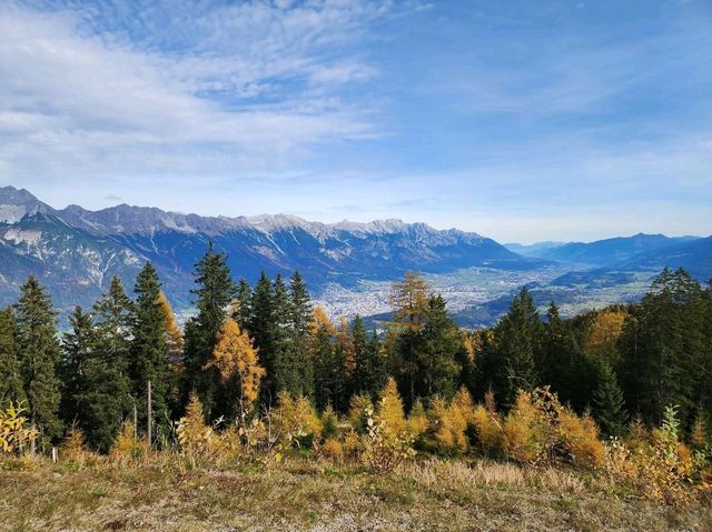 Mountain Magic Alps✨