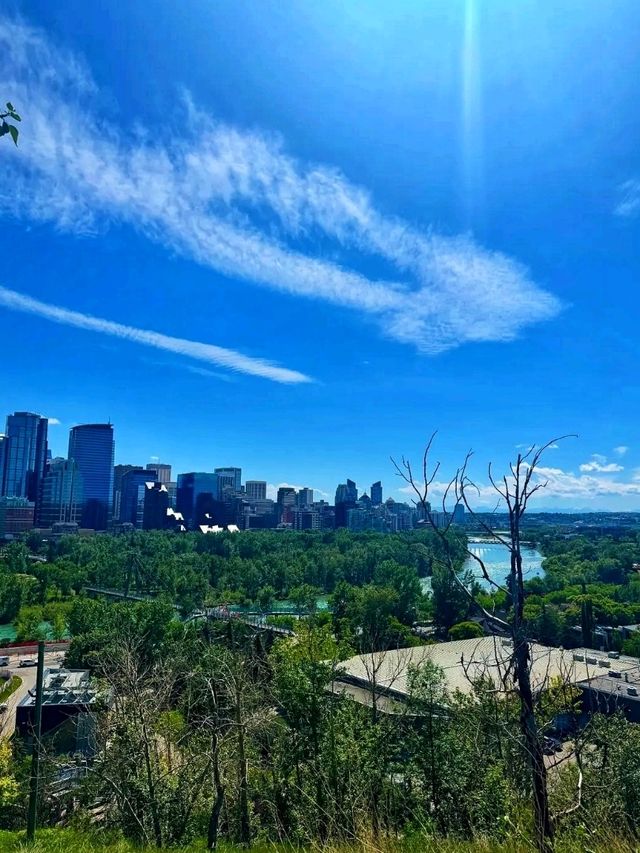 🌿 Prince’s Island Park – Calgary’s Most Beautiful Urban Oasis