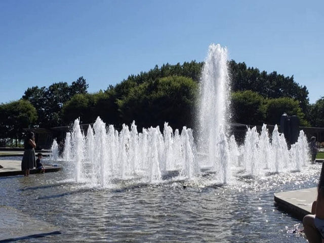 Queen Elizabeth Park