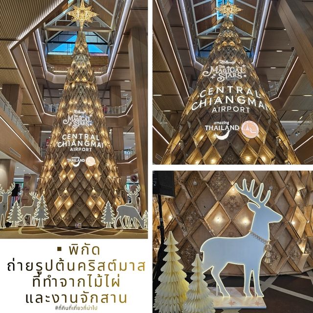 พิกัด : ถ่ายรูปต้นคริสต์มาส ทำจากไม้ไผ่+งานจักสาน