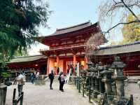 奈良春日大社～穿越千年的神秘能量場！萬盞石燈籠與神鹿共舞的仙境🦌🏮