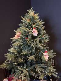 목포 실내데이트 ”오너리스“