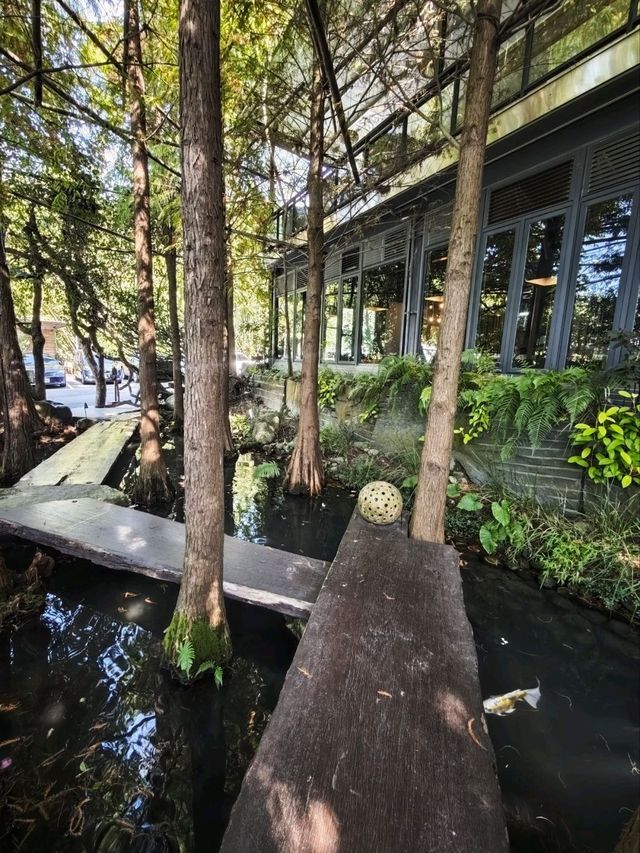 🌲落羽松秘境中的蔬食饗宴#🌿 澄石享自在-臺中市北屯區