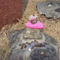 ​[구마모토] 아소 버스 투어 오후 일정 & 현지인 맛집 '도이치' 뒤풀이 (다이칸보 절경 & 오코노미야키)