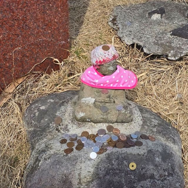 ​[구마모토] 아소 버스 투어 오후 일정 & 현지인 맛집 '도이치' 뒤풀이 (다이칸보 절경 & 오코노미야키)