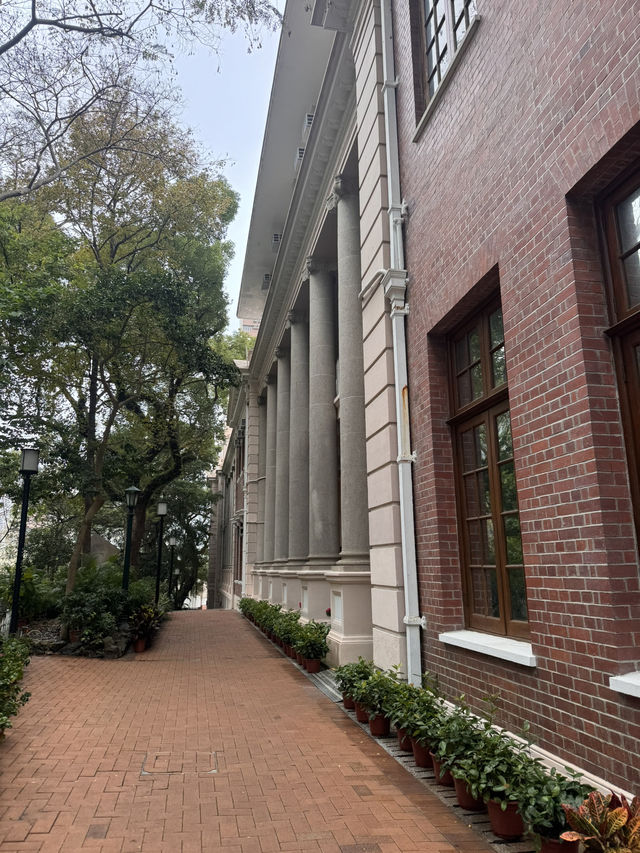 Campus Daydream☀️  