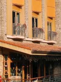 🇨🇳 武漢~「曇」花一現嗎?🌸🌺🌷