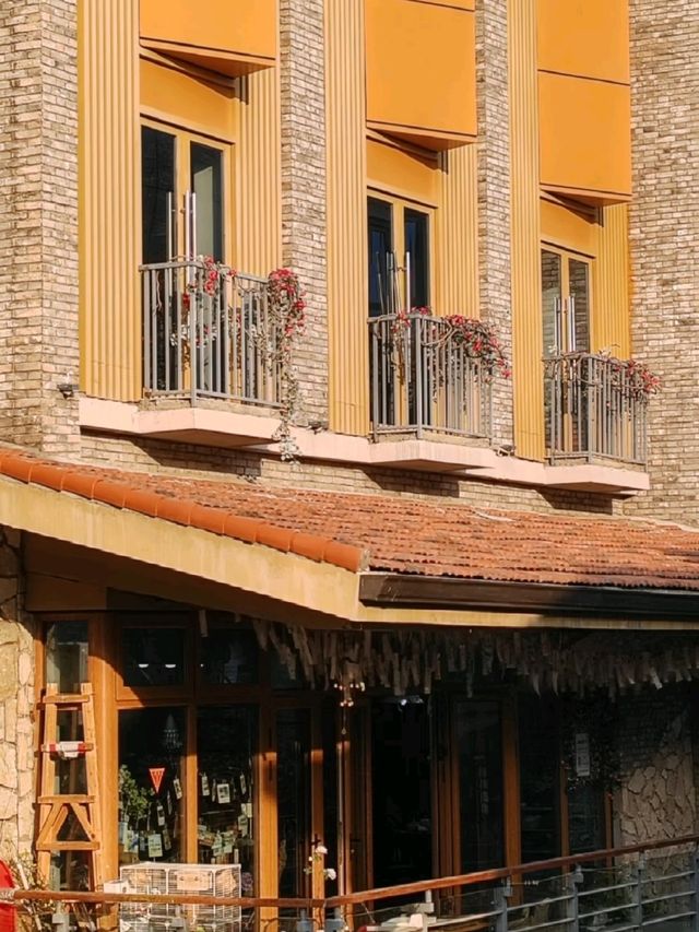 🇨🇳 武漢~「曇」花一現嗎?🌸🌺🌷 🇨🇳 武漢~「曇」花一現嗎?🌸🌺🌷