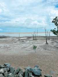 Sematan’s Wetland Serenity & Coastal Delights