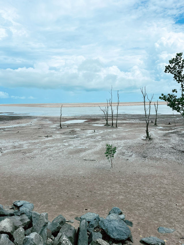 Sematan’s Wetland Serenity & Coastal Delights