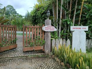 タワウヒルズパークのジャングルスリル