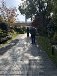 🌊 北外灘航海公園|最外灘天際線的散步視角