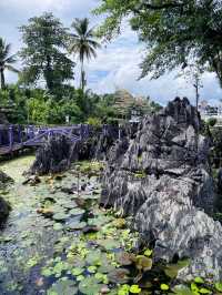 Paku Garden: A Scenic Nature Escape