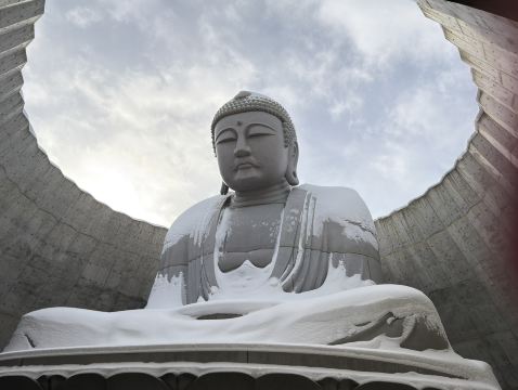 2026年 頭大仏雪見おすすめ| Trip Moments