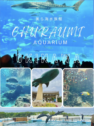 沖縄旅🇯🇵旅のハイライト:美ら海水族館 | Trip.com 本部町