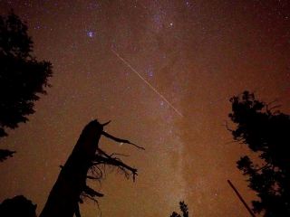 🌌【ブライスキャニオン国立公園、ユタ州】眠らないことの代償は、宇宙全体からの惜しみない贈り物だ！🇺🇸🦌