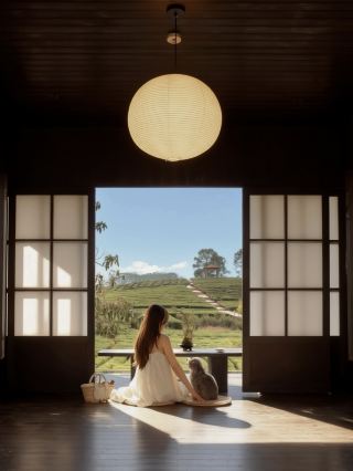 Huizhou | A Healing Cafe Hidden in the Tea Mountains, So Cozy and Relaxing.