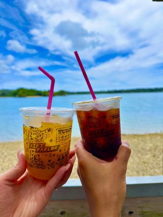 Checking out the ocean view swing cafe in Nago.