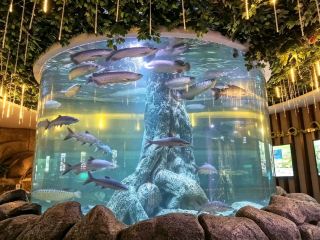 Exploring The Shore Oceanarium: Fun Family Spot in Melaka