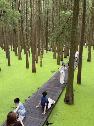 Qingshan Lake: The Matcha Green Lake You Just Can't Stop