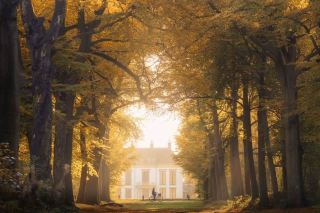 🍂🇳🇱 Autumn in the Netherlands — A Golden Fairytale