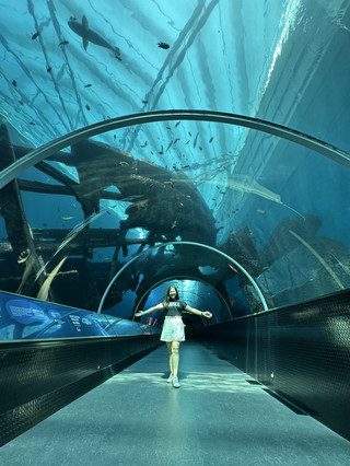 Singapore Oceanarium — Definitely on My Bucket List! 🌊🐠