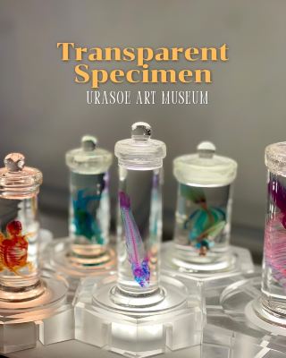  🪼 ✨ สวยจนหยุดมองไม่ได้! ชมงานศิลป์โปร่งแสง New World "Transparent Specimen" 